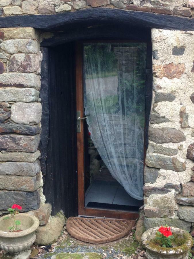 Le Petit Chateau, Matisse Noyal-Pontivy Exterior foto